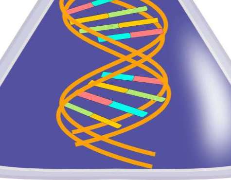 DNA replication terminus site-binding protein (tus) -Mammalian Cell